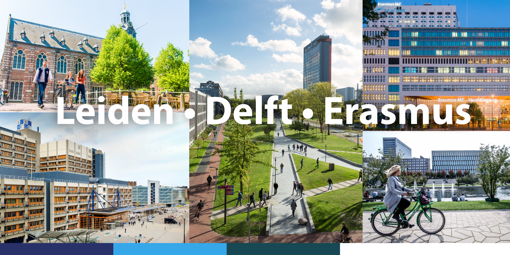 Leiden-Delft-Erasmus