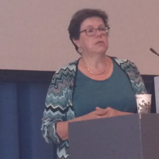 Liesbet van Zoonen