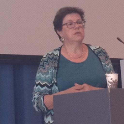 Liesbet van Zoonen