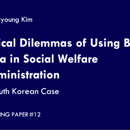 the frontpage of the working paper. a dark blue background with white lettering