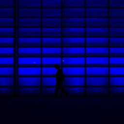 © Markus Spiske (Unsplash)